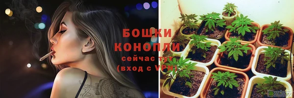 индика Беломорск