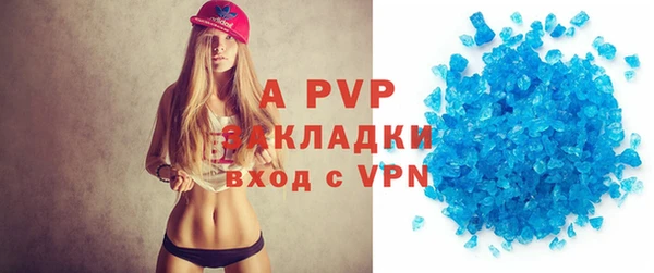 индика Беломорск