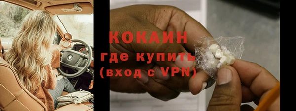 индика Беломорск