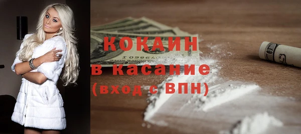индика Беломорск
