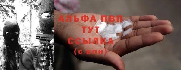 винт Гусь-Хрустальный