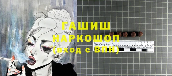 индика Беломорск