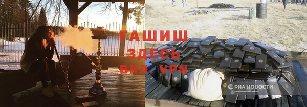 индика Беломорск