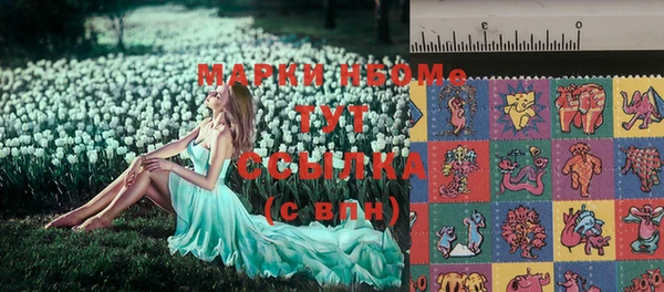 индика Беломорск