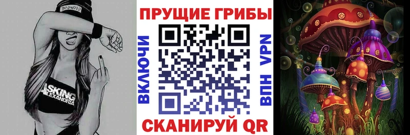 Псилоцибиновые грибы мицелий  Славгород 