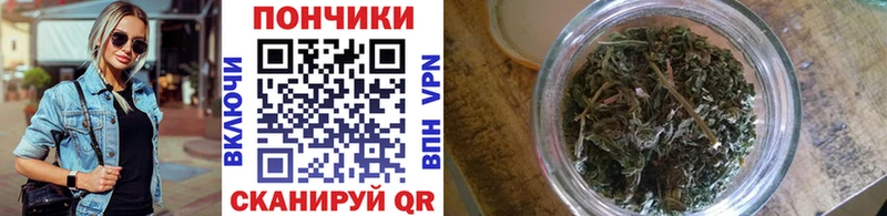 Шишки марихуана OG Kush  kraken как войти  Славгород  цены наркотик 